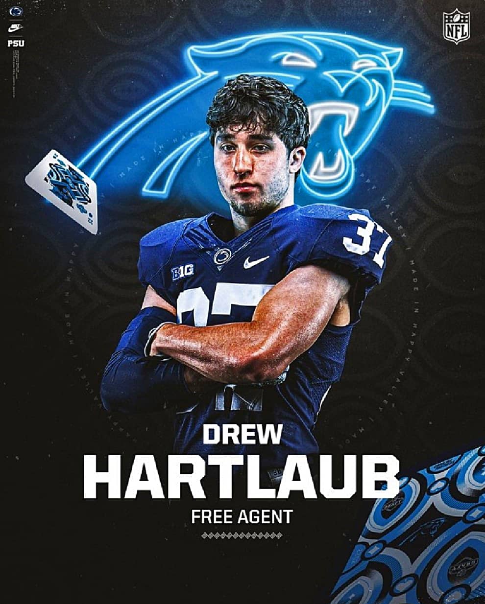 Drew_Hartlaub_NFL_Panthers_Profile